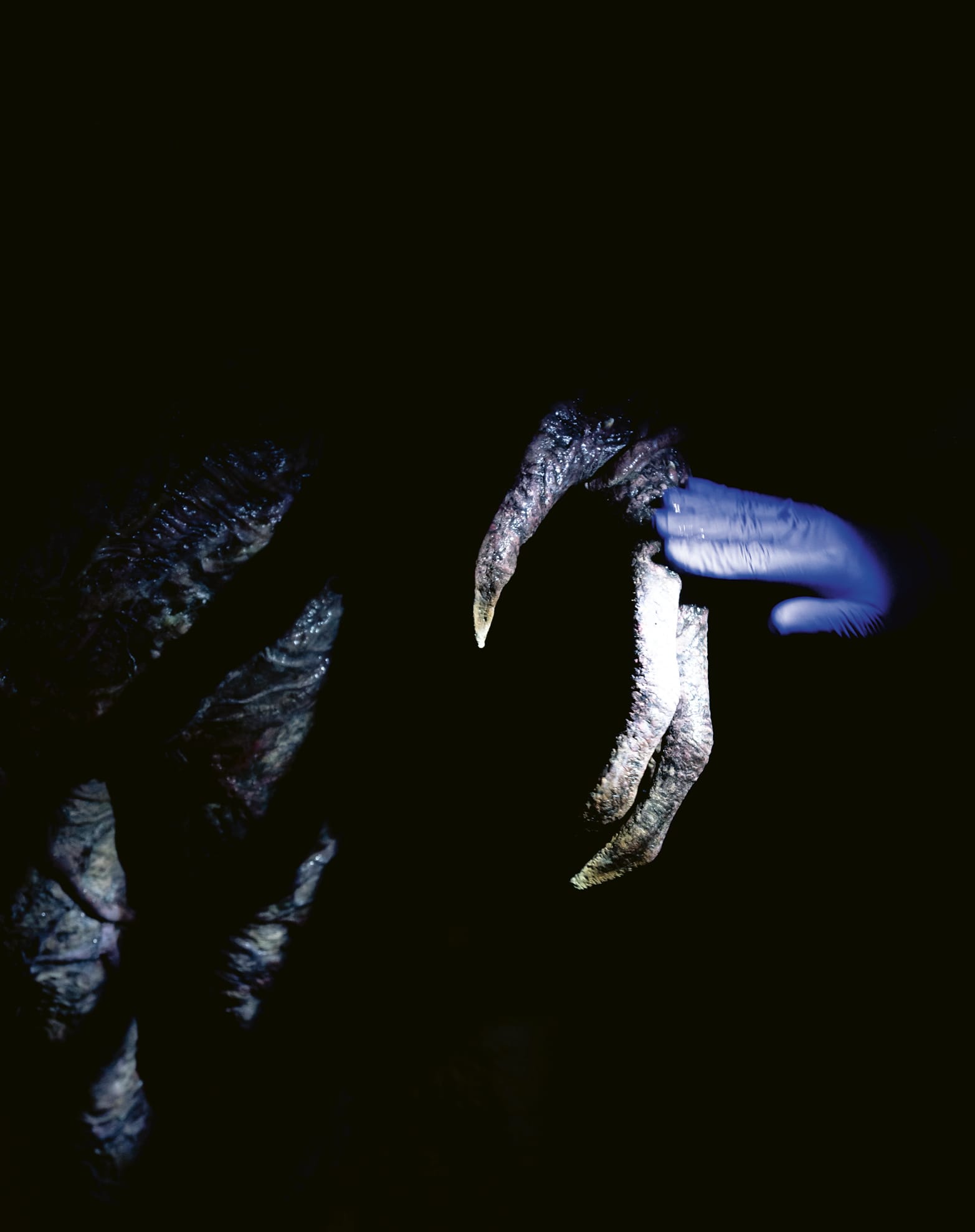 Stranger Things page 180